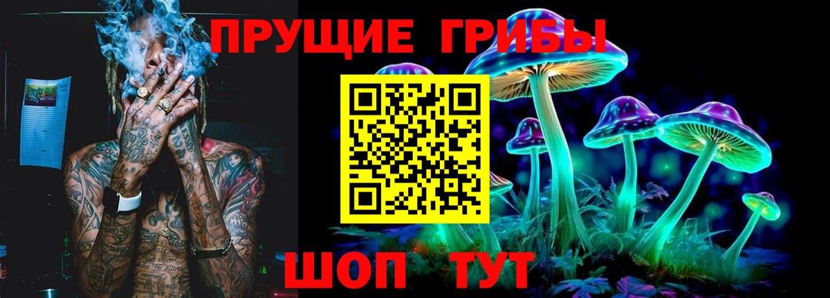 Псилоцибиновые грибы мухоморы Юрга