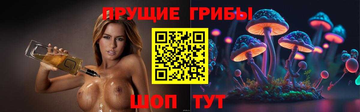 Псилоцибиновые грибы Psilocybine cubensis  Вход с VPN  Юрга 